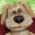 Hund  online